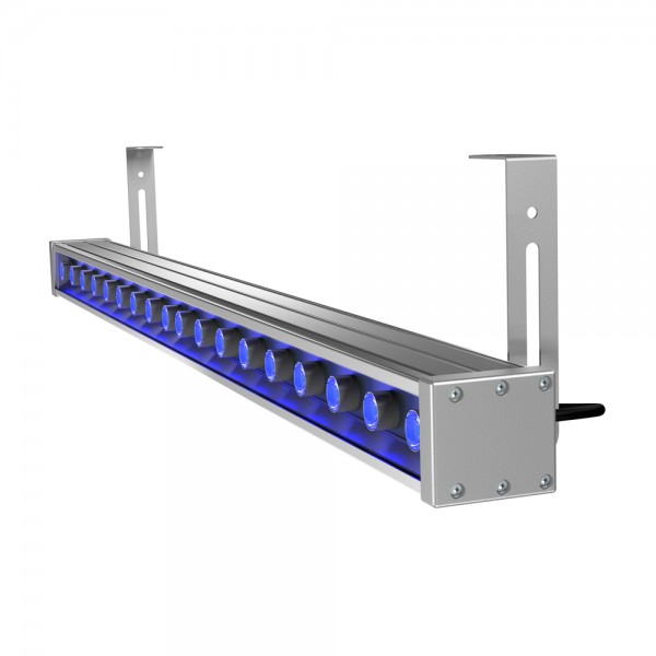 barokko-20-1000-blue-1-600x600